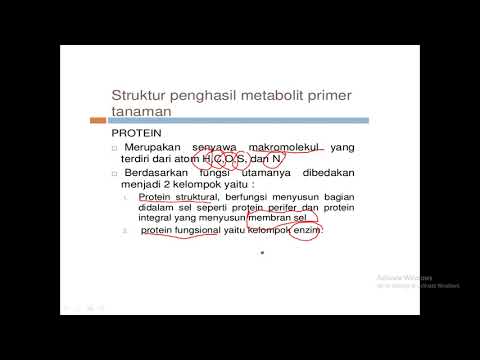 metabolit primer sekunder part1