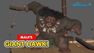 Moana 2 Maui Giant Hawk Transformation | Animation Breakdown