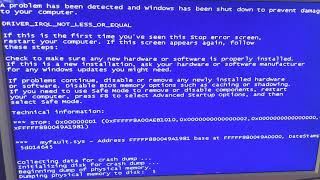 Angry Hamster has BSOD