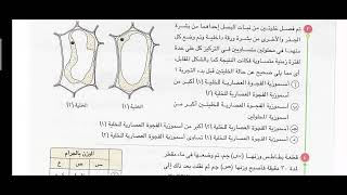 17- تفسير إجابات اسئلة الدعامة فى النبات ( حل كتاب الامتحان ) محمد الرفاعى ذكى