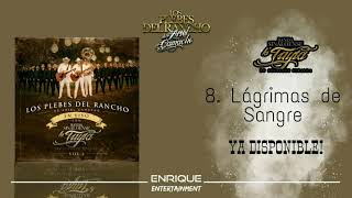 Los Plebes del Rancho de Ariel Camacho (En Vivo con Banda) - Lágrimas de Sangre [Audio Oficial]