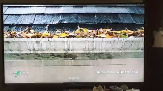 LeafFilter commercial