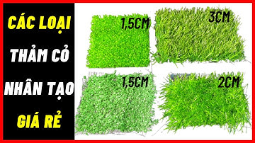 Thảm cỏ nhân tạo giá rẻ thảm cỏ nhân tạo lót sàn nhà 0971711705