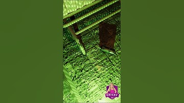 Haunted Camera | Phasmophobia #shorts