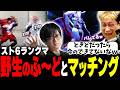 ふ~どとマッチングして接戦を演じるこく兄 #スト6