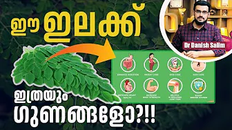 2293 : മുരിങ്ങയിലയുടെ അത്ഭുതഗുണങ്ങൾ | നിങ്ങളുടെ ആരോഗ്യത്തിന് ഒരു സൂപ്പർഫുഡ് |Moringa Leaves Benefits