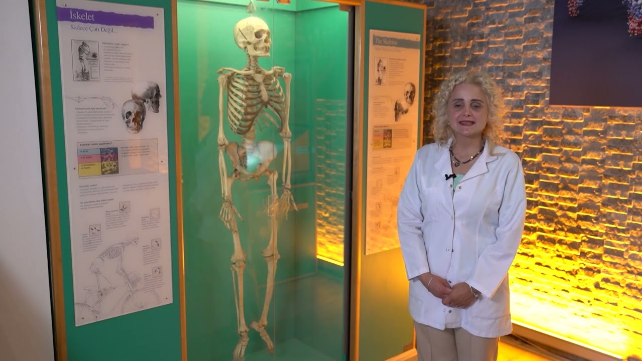 Feza Gürsey Bilim Merkezi