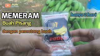 HOW TO HARVEST AND RIPE BANANAS WITH CARBITE