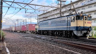 側面蛍光灯カバー付きのEF65 2089牽引🤍5086レ
