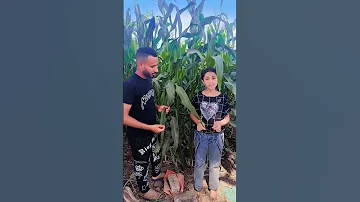 اي الجمال ده بجد خليها رنه تلفونك 