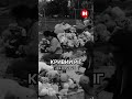 Роковини трагедії у Кривому Розі 