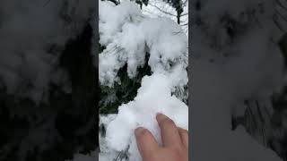 🥶AMAZING! SUPER SOFT SNOW❄️!! #shorts #satisfying #beautiful #soft #ice screenshot 2