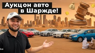 картинка: Дубай аукцион 17.09.2025г