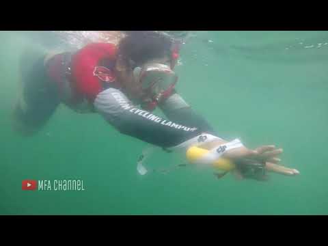 Extreme & Fun : Berenang di Lautan