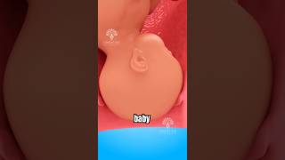 C-Section Vs Normal Delivery Which One Is More Painful?