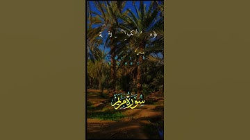 سورة مريم #قران_كريم #اكسبلور #الرحمن #دويتو #duet #راحة_نفسية #لايك #حالات_واتس #تيك_توك