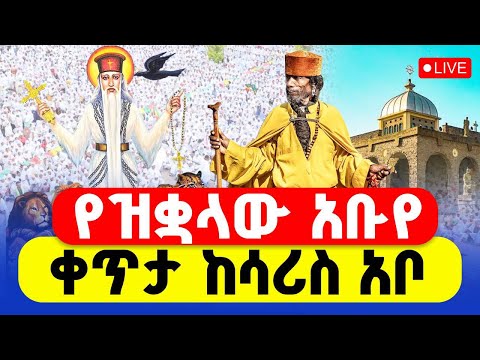 LIVE የዝቋላው አቡየ ቀጥታ ከሳሪስ አቦ