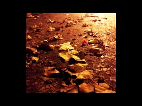 THE CORRIDORS: "AUTUMN LEAVES" (Album Version)