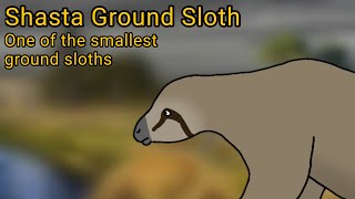 Shasta Ground Sloth. The smallest of the ground sloths.