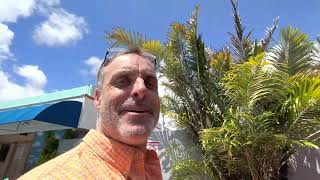 Arenga Engleri, Sugar Palm Natural Variation