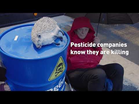 Pesticides Are Poisoning Nature. Greenpeace Took Action