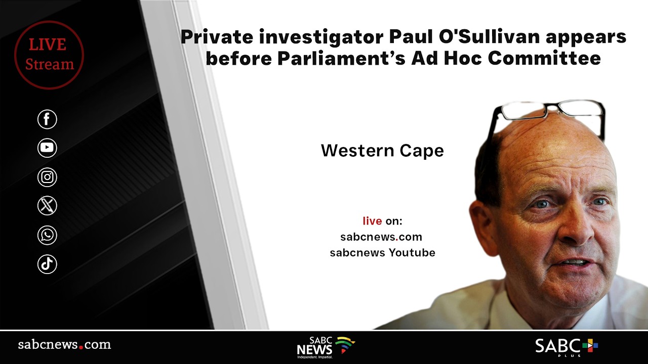 Paul O'Sullivan appears before Parliament’s Ad Hoc Committee | 10 February 2026