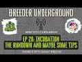 Episode 28 - Incubation: The Rundown and Maybe Some Tips