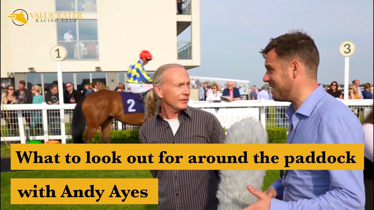How to pick winners around the paddock YouTube