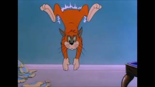 Tom Ve Jerry, 36.Bölüm - Tomun Eski Koltuğu 1948