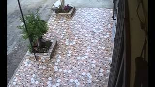 ممارسة الرياضة من نوع آخر