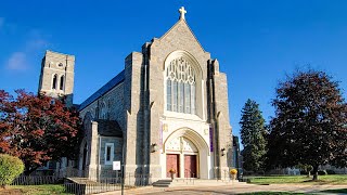 Eleventh Sunday of Ordinary Time