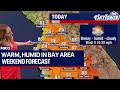 Tampa weather: Humid in Bay Area on Saturday