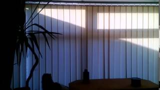 Cat Attacking Pigeon Shadow Fail