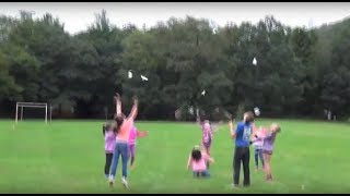 Easy Dragonfly Helicopter Update