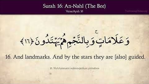 {Surah 16} سورة النحل is Surat An-Nahl(The Bee) Translated in English language