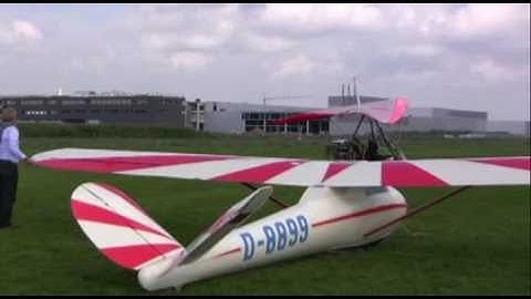 Flight show Rheinstetten 2010: Gö 3 Minimoa, Schleicher K1 and Schleicher K8