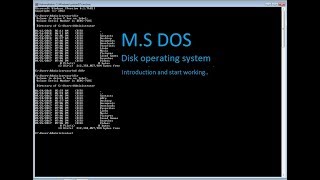 M.S Dos ( Disk operating system )