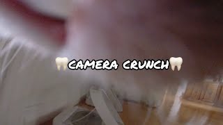 My Cat Is Eating The Collar Camera! POV screenshot 5