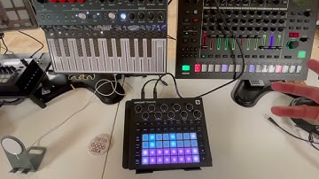 Circuit Tracks: Back in the Game