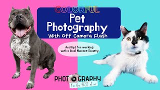 Colorful Pet Photography with Off Camera Flash by Photography for the REST of us 1,116 views 2 years ago 21 minutes