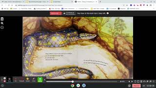 Python:  Christopher Cheng and Mark Jackson
