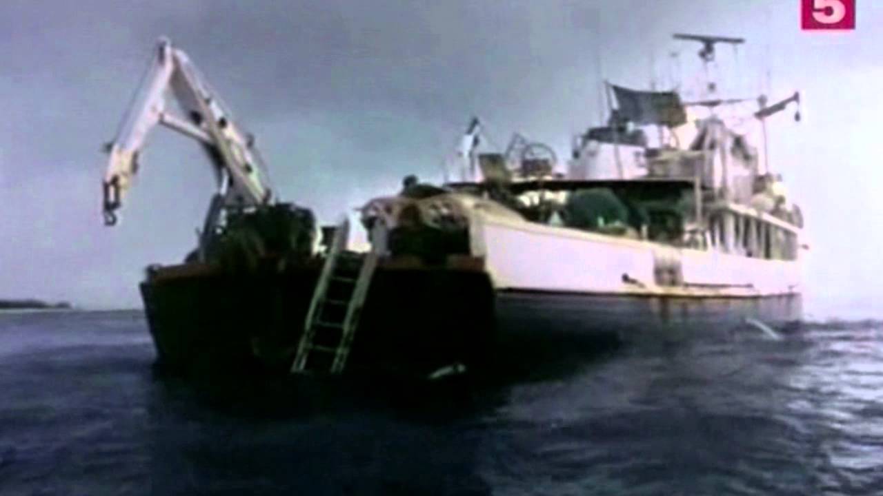 04 1968 Тайны глубин Подводная одиссея команды Кусто