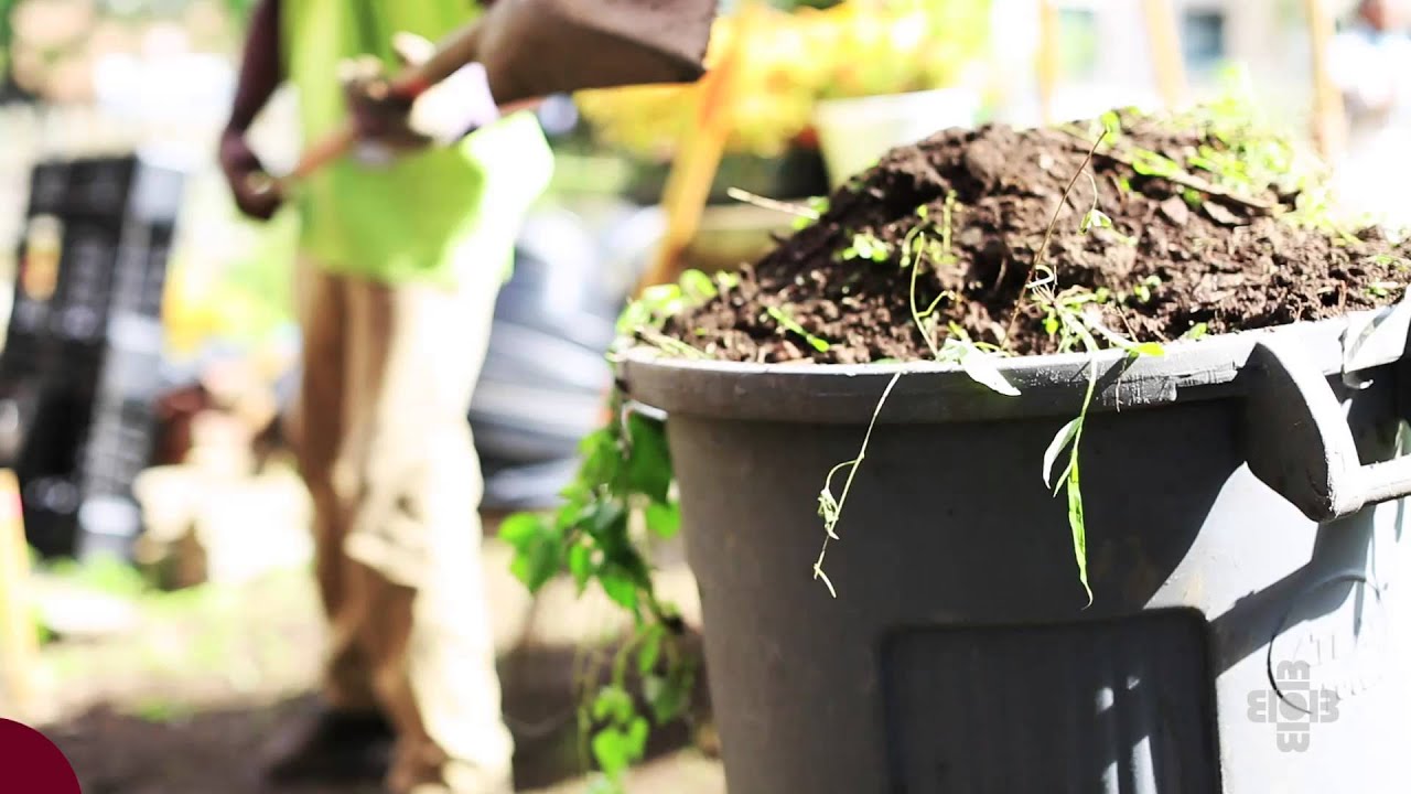 Horticulture Technology Major at Bidwell Training Center - YouTube