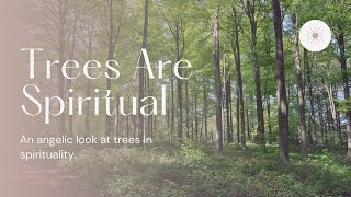 Druidism and Wiccan: The Spirituality of Trees (Their view made simple)