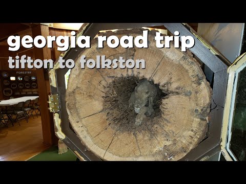 GA Road Trip - Stuckie the Mummified Dog, Enigma, Pearson, Nahunta, Folkston | 156 Counties | 4K