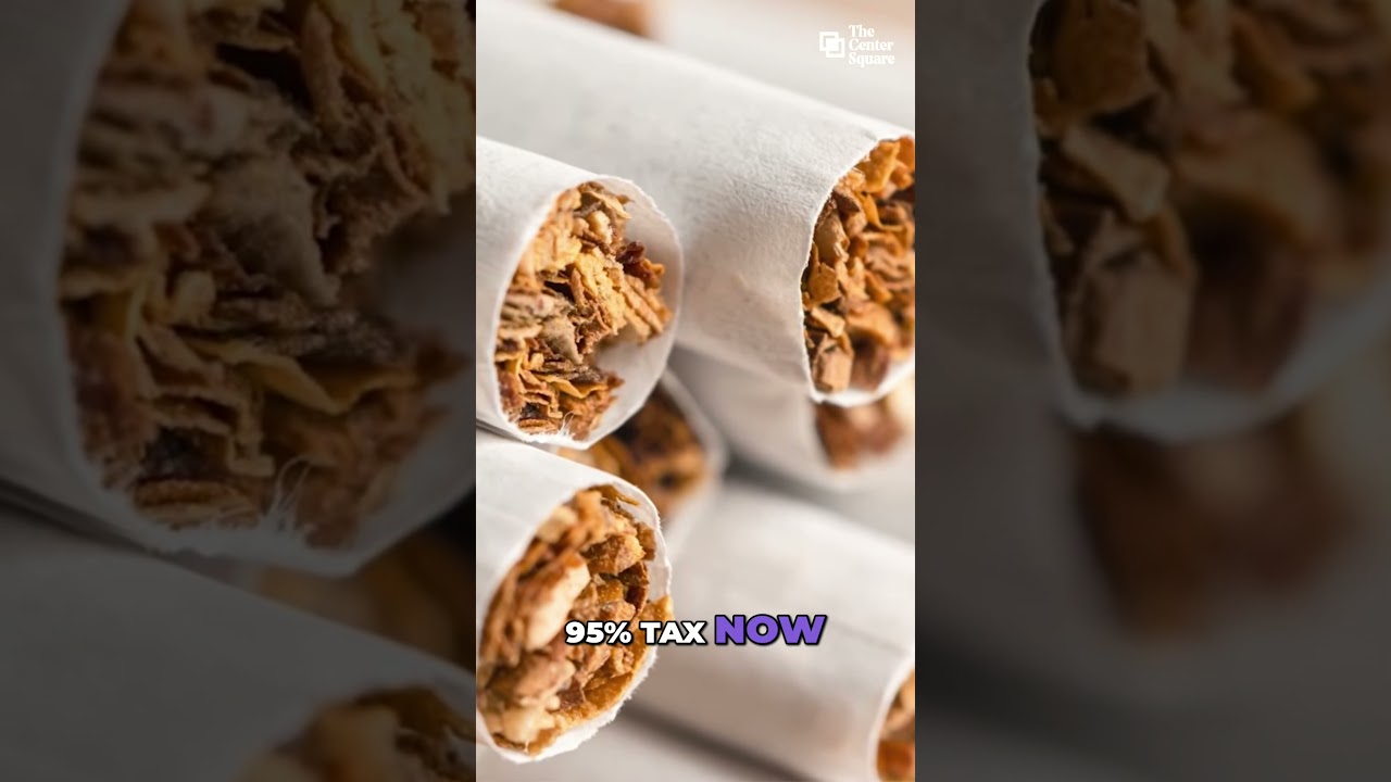 cigarettes in a row Many cigarettes in a row on a white background. close-up Stock Photo