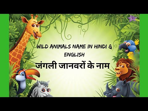 NAME OF WILD ANIMALS IN HINDI AND ENGLISH | जंगली जानवरों के नाम - YouTube