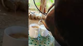 Kapi At Gatas