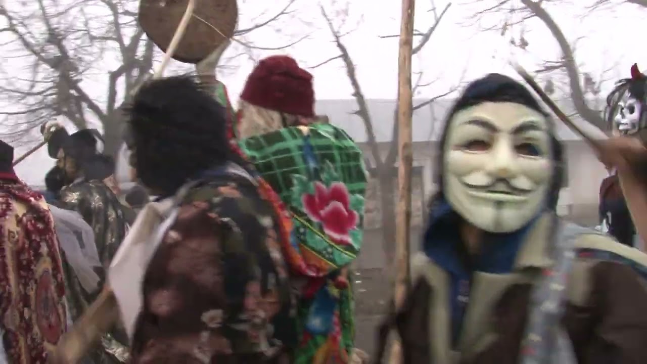 CAPRA DE LA GLODENII GANDULUI 2017+ CAPRA DE LA TIBANESTI