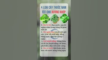 4 LOẠI CÂY THUỐC NAM TỐT CHO XƯƠNG KHỚP #shorts
